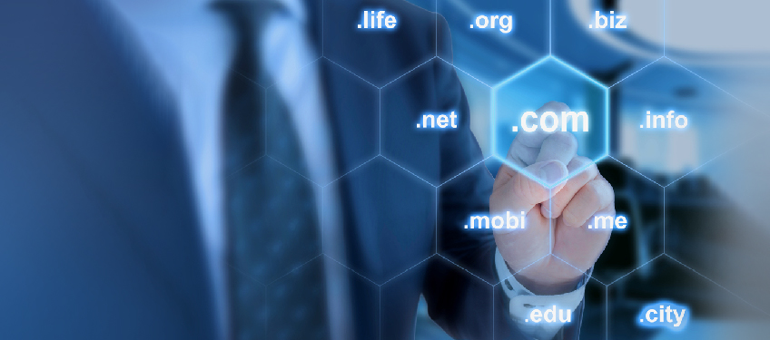 Check domain name availability